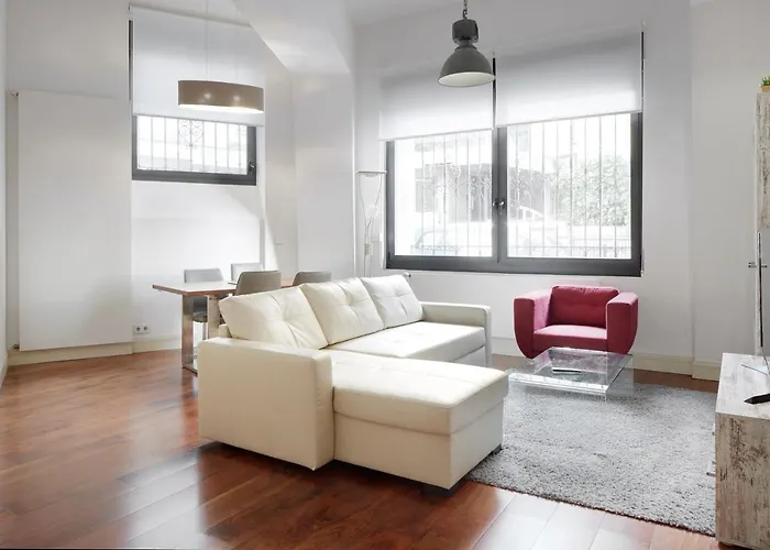 Eider - Basque San Sebastián